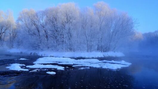 葉莎庫爾濱攝影