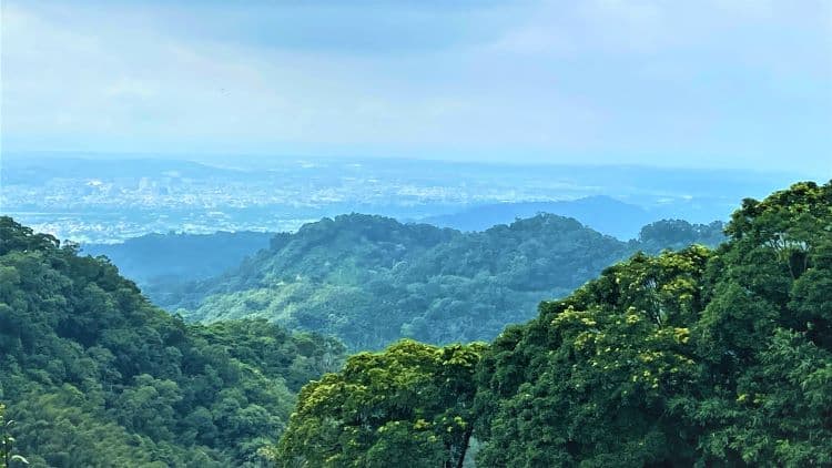 遠望九華山、阿里山脈，群峰迤邐。圖 / 陳嘉英