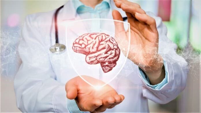 BDNF可幫助大腦神經元建立新連接，讓思緒維持靈活。圖 / Shutterstock