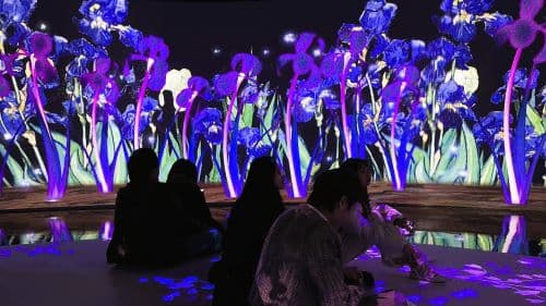 翡冷翠策展活動