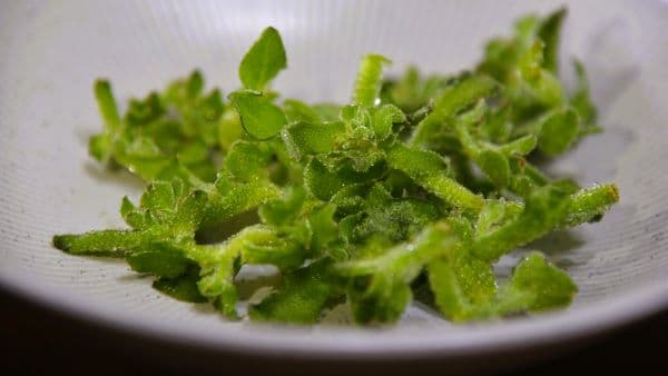 冰花