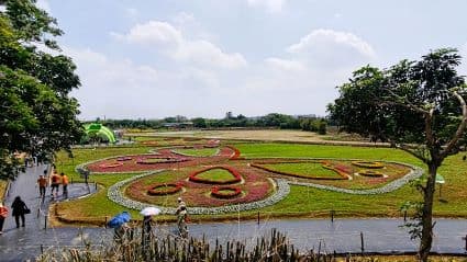 桃市農業局推廣食農教育，規劃大面積可食地景展，以紅莧菜、白莧菜、白菜、空心菜、萵苣等常見時蔬為大地刻劃美麗蝴蝶、瓢蟲等大型圖騰。