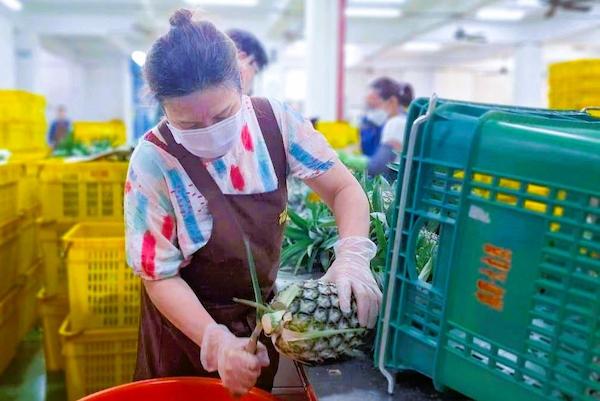 65歲資深員工惠姊