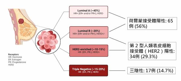 乳癌治療的分子病理分類
