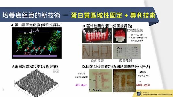 癌細胞三維培養新技術。