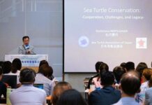 永續海洋生態 亞太護海龜開創新視野