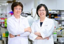 救癌不傷心 橙皮素減小紅莓心臟毒性