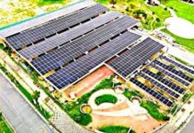 寶島陽光全方位布局 穩健助能源轉型