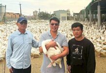 淞英畜舍型光電 先農後電逆風高飛