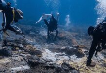 守護東沙珊瑚礁生態 突棘計畫再啟動 棘冠海星清除,海底水下作業。