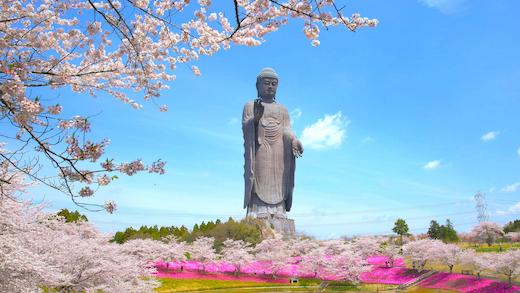 牛久大佛。榮登金氏世界紀錄的全球最高青銅大佛。