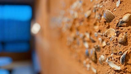 牆面選用苗栗黃土與桃園紅土混入文蛤殼與陶片,手工鏝抹出文化層肌理