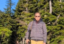 春節的溫哥華 華人的溫哥華 馬年春節徵文,本文作者楊本基,香港作家。