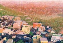 醫師畫家温宗益 凝視光勾勒生命光彩